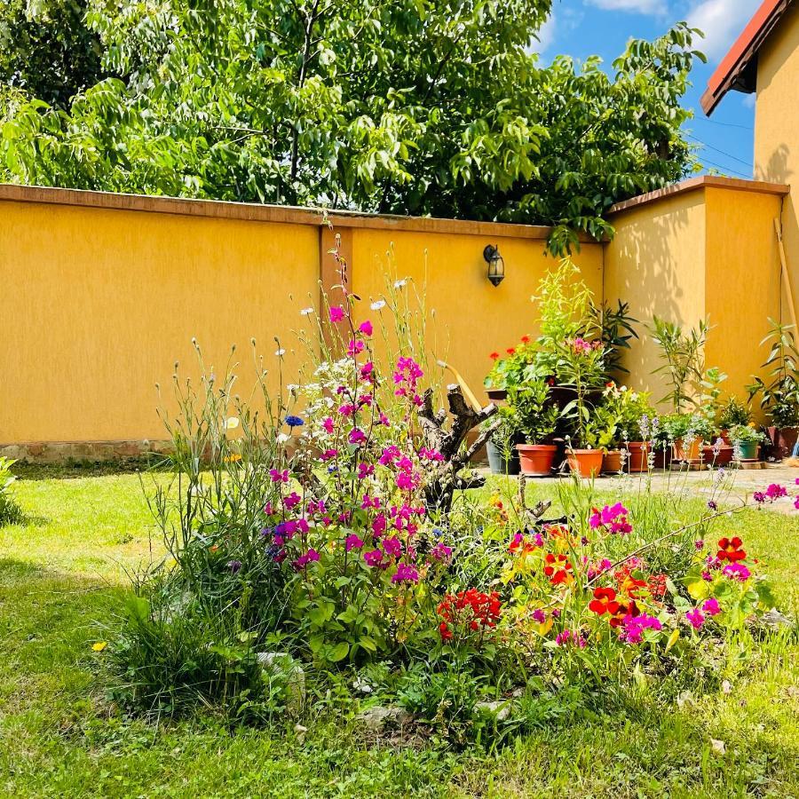 Leto House Apartment Targu Jiu Exterior photo