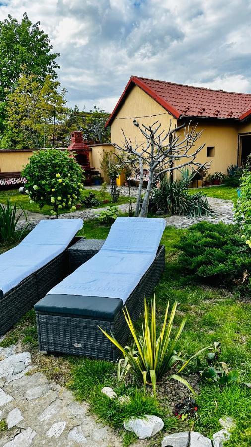 Leto House Apartment Targu Jiu Exterior photo